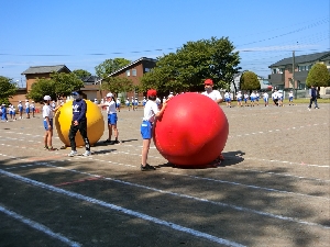 ５月１６日（火）