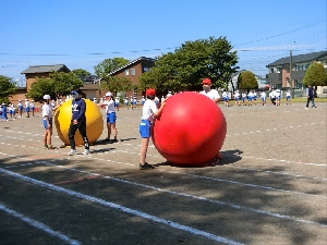 ５月１６日（火）