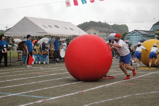 大玉ころがし