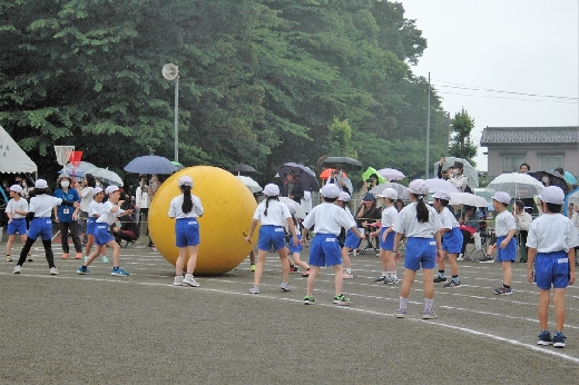 大玉ころがし