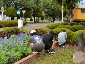 ７月１３日（木）環境委員会による 花壇の手入れ