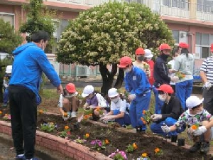 子供たちの手ですてきな花壇に！