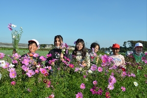 １１月１日（水）生子コスモス街道での地域協働学習