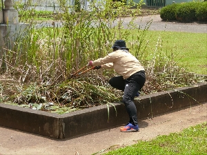 本校のビオトープについて