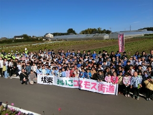 １１月４日（火）地域と心をつなぐ「おいごコスモス街道協働学習」