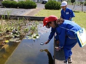 ３年生理科　校庭の春を探して