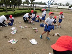 １年生あさがおの種まき