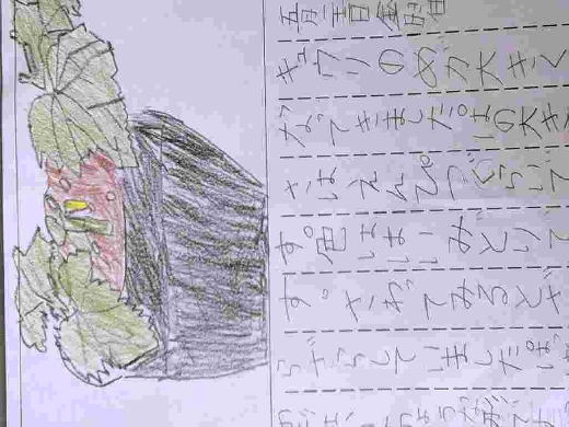 かんさつカード