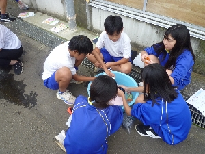第６学年　家庭科　洗濯実習