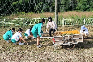 「ＰＴＡ親子奉仕作業」が行われました！