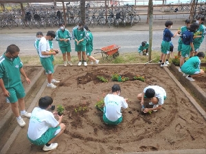 緑化委員会　緑化活動