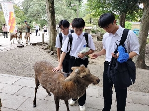修学旅行１日目　奈良公園