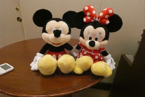 校外学習でディズニーランドに行きました！（２学年）