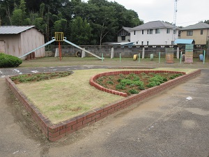 芝桜の植えかえを行いました！