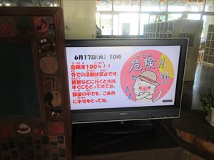 今年初めてのプール学習