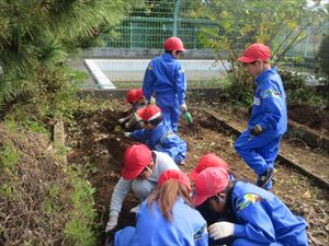 🍠さつまいもほったよ🍠