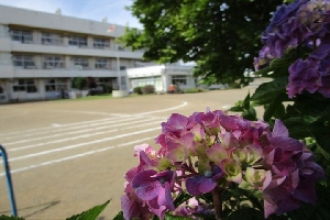 6月になりました