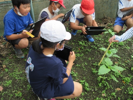 ３年生・ひまわり
