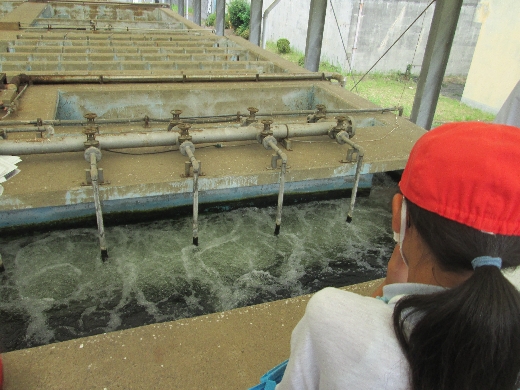 浄水場見学2