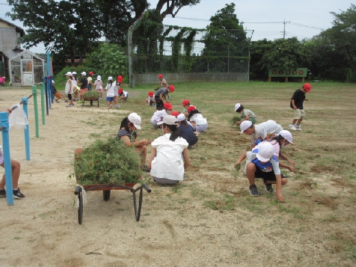 1～３年生による草取り