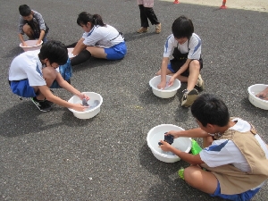 過ごしやすい一日となりした