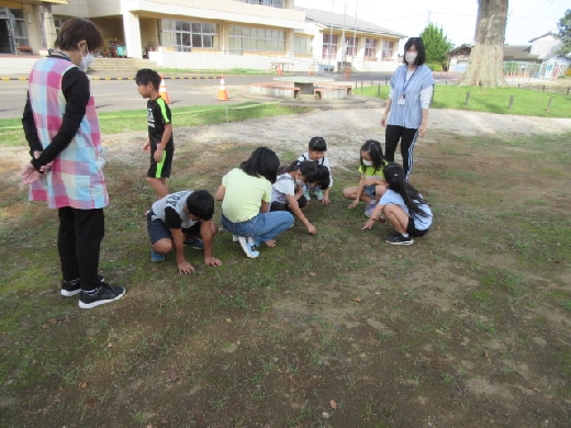 ３年生・ひかげは思ったよりつめたい