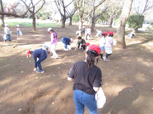 八坂公園でのドングリ拾い