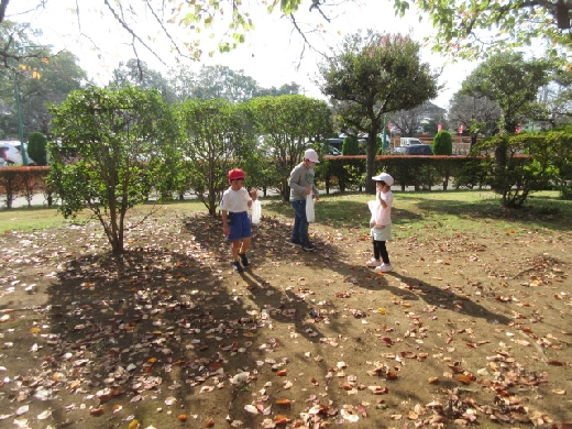 八坂公園でのどんぐり拾い