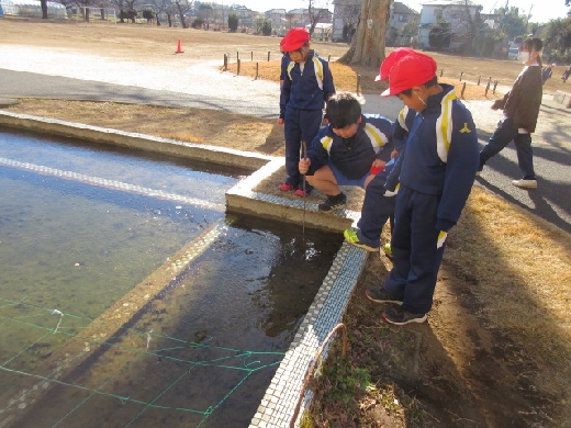 池には氷がはりました