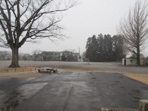 午前中に雨が降り始め