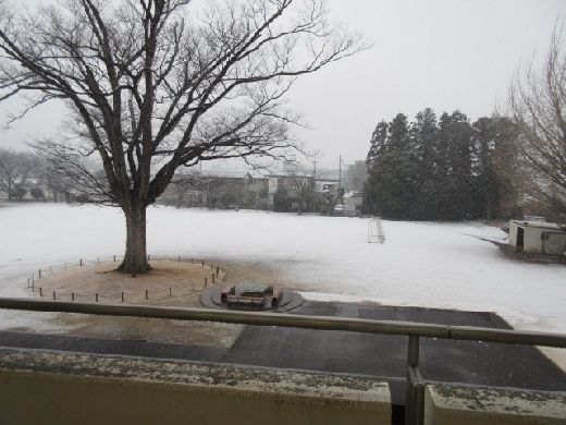 あっという間に雪化粧