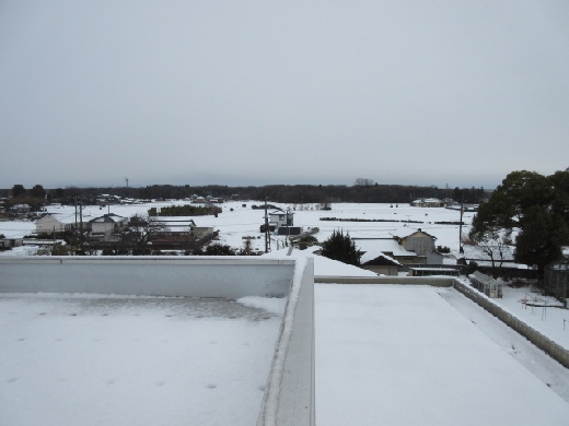 屋上から風景