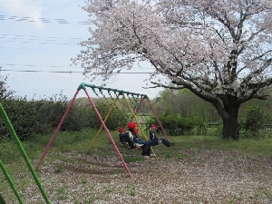 桜の中で…