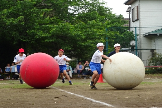 はこべ！元気玉！