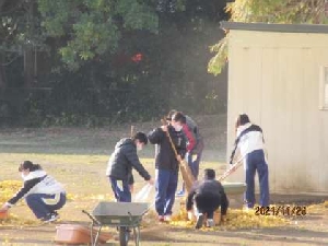 朝の落ち葉掃きボランティア活動